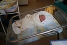 Tomek